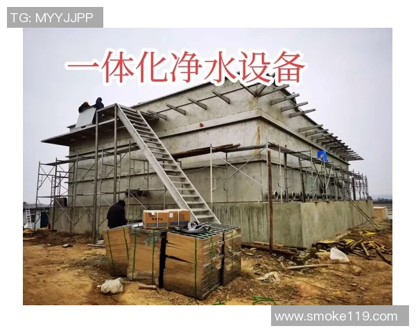 新型净水材料的研发与应用前景分析及其在水处理领域的创新突破