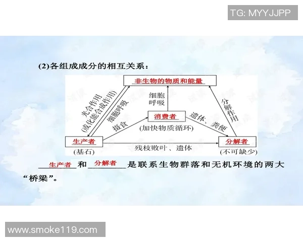 黄蜂生态揭秘：探讨其生活习性、社会结构与生态功能的多维度分析