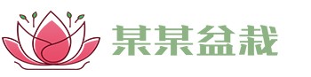 某某公司