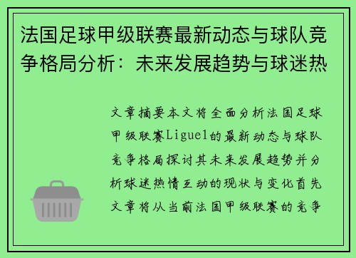 法国足球甲级联赛最新动态与球队竞争格局分析：未来发展趋势与球迷热情互动